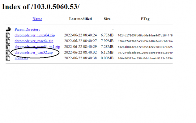 Bấm chọn chromederiver_win32.zip Bấm chọn chromederiver_win32.zip