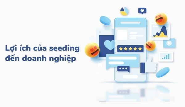 Những lợi ích mà Seeding mang lại cho doanh nghiệp
