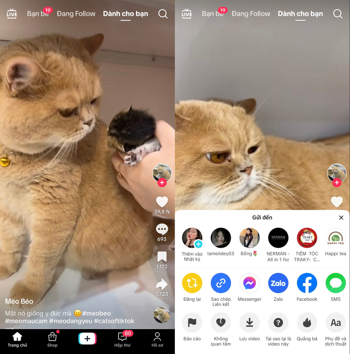 Cách Download Video Tiktok Không Logo - Sử Dụng SnapTik